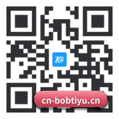 苹果访客专属 二维码