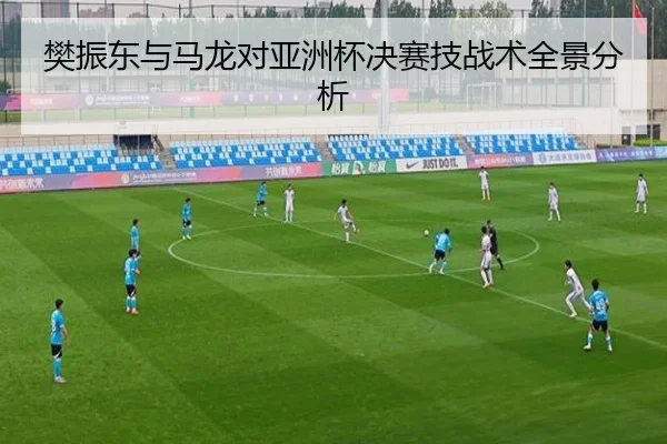 樊振东与马龙对亚洲杯决赛技战术全景分析 | bobapp